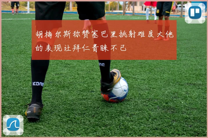 胡梅尔斯称赞塞巴里挑射难度大他的表现让拜仁青睐不已