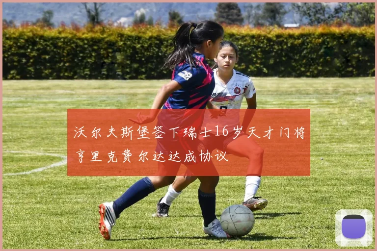 沃尔夫斯堡签下瑞士16岁天才门将亨里克费尔达达成协议