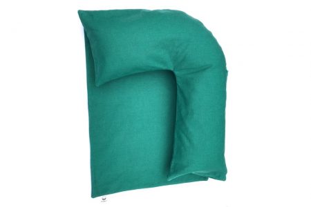 doggykin canvas pillow with a matching blanket in green